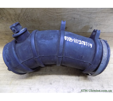 Патрубок воздушный, Opel Vectra B, GM90500407