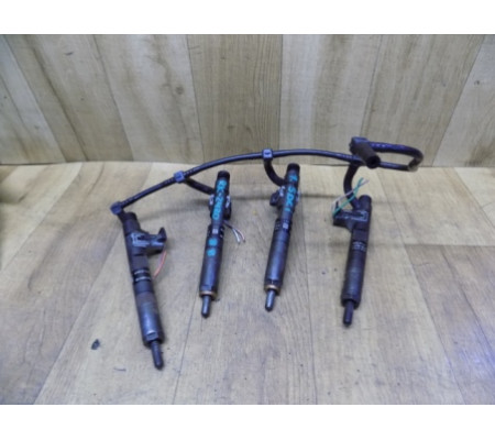 Топливные форсунки, 1.5 dCi, Renault Kangoo, EJBR03101D, 8200421359, H8200421897