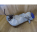 Бачок омывателя, Volkswagen Passat B5, 3B0955453N, 1j6955651